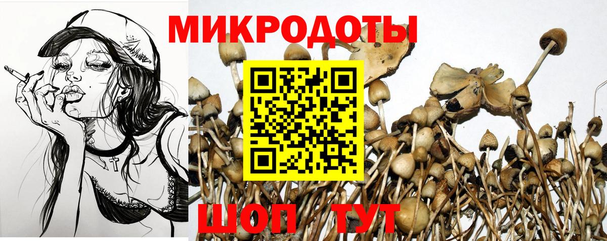 закладки  Вход с VPN  Златоуст  Псилоцибиновые грибы мицелий 